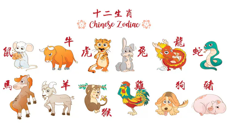 将军巡夜什么生肖动物,生肖重点诠释答案解析