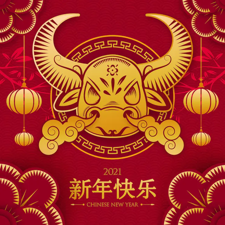 粗心浮气打一最佳生肖，最准成语解析揭秘答案