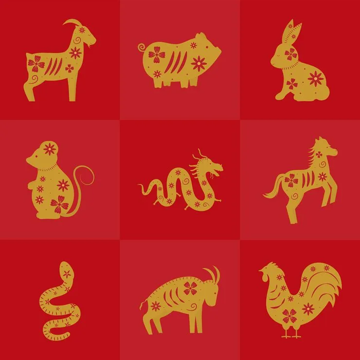 不成三瓦打一准确生肖，经典词语释义精选