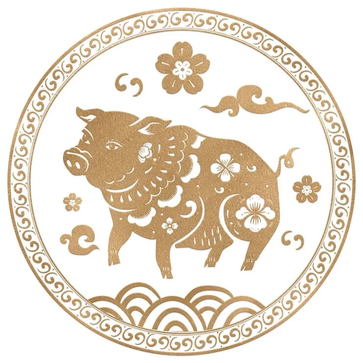 南腔北调，猴左鸡右定成局是什么生肖，阐释释义落实词语