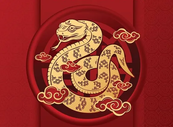 措置裕如指什么生肖，词语释义解析落实