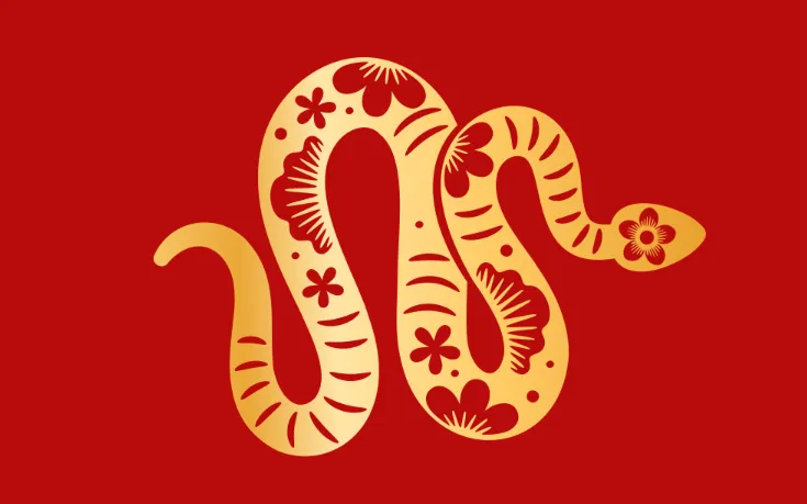 声东击西打一最佳生肖，指是代表什么生肖打猜一生肖，优质成语解答释义