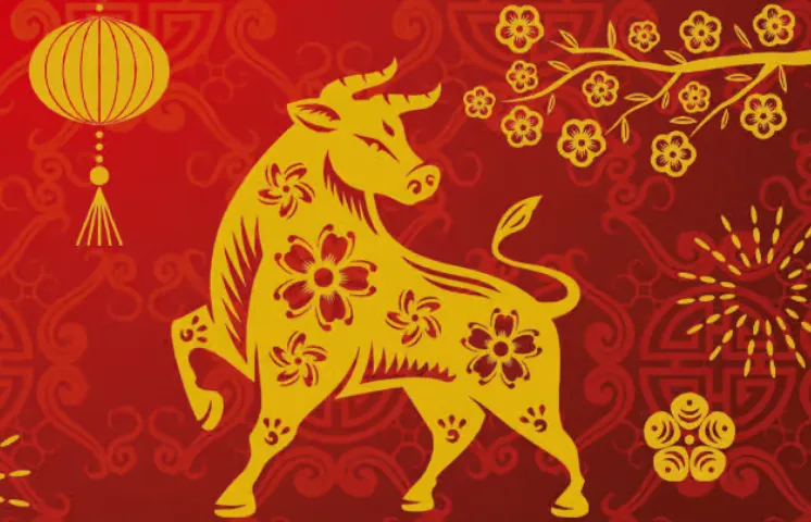 才华横溢代表指的什么生肖，最新诗意解释落实