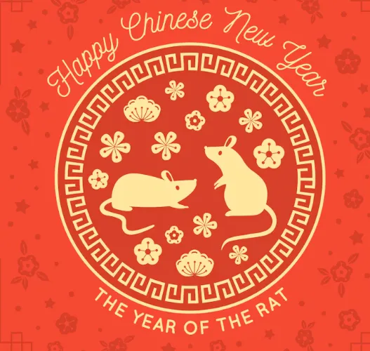 藏形匿影打一肖,词典最佳成语释义揭秘