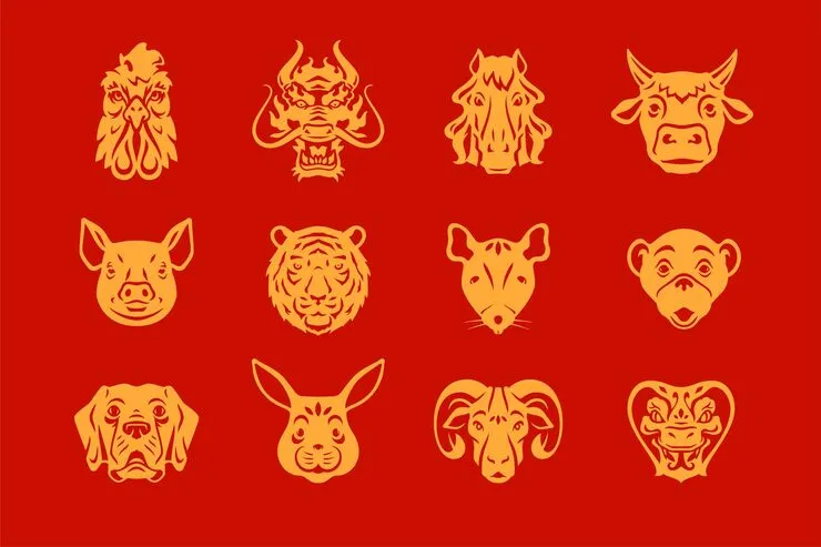 一四在八转指代表什么生肖，准确解析词语释义