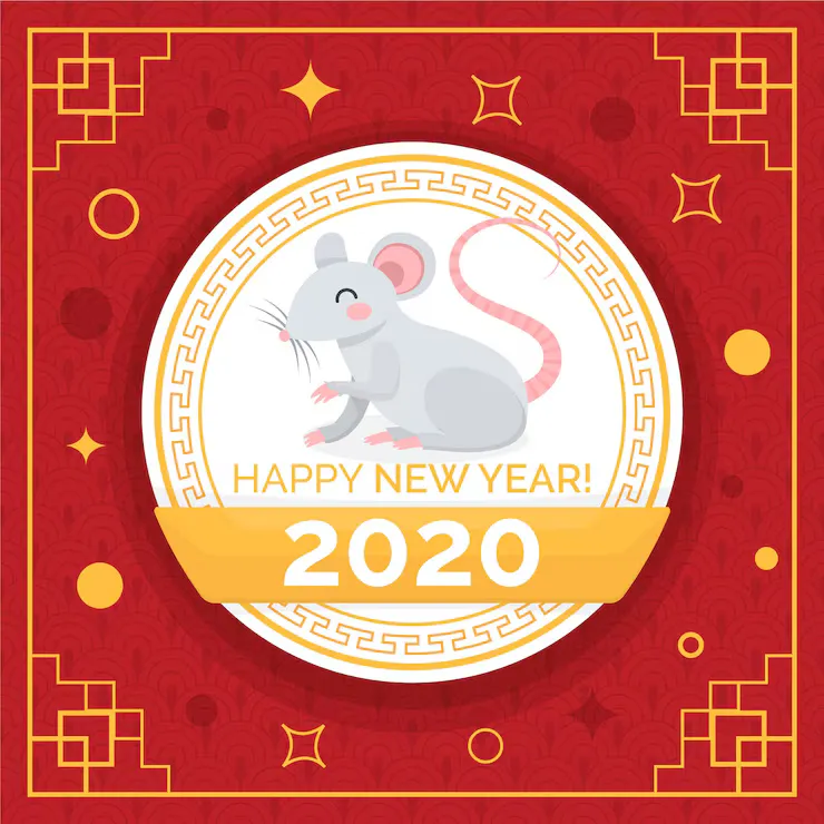 欲钱看脱了旧鞋换新鞋代表什么生肖，成语释义精准解答